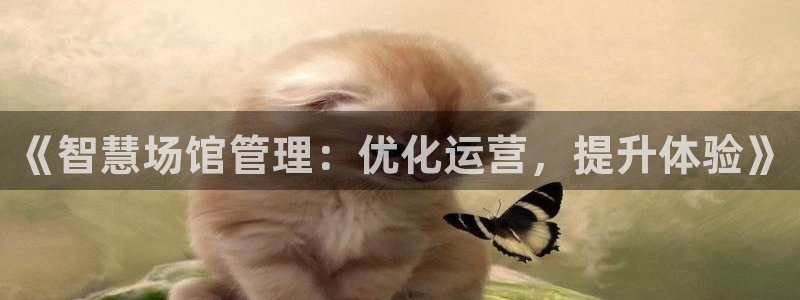 必一体育app下载：《智慧场馆管理：优化运营，提升体验》