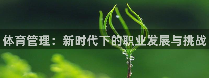 必一体育下载一样吗：体育管理：新时代下的职业发展与挑战