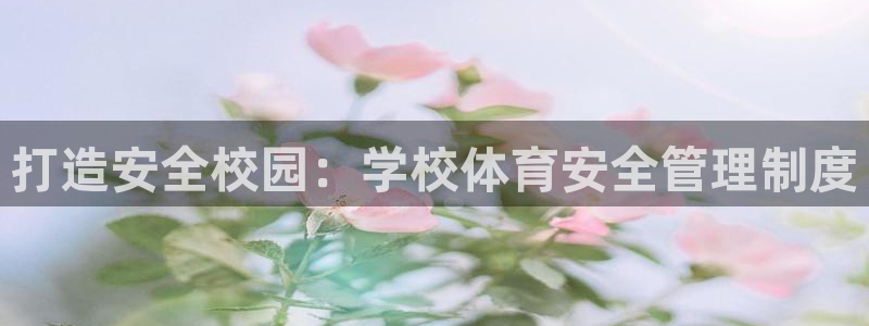 必一体育在线登录：打