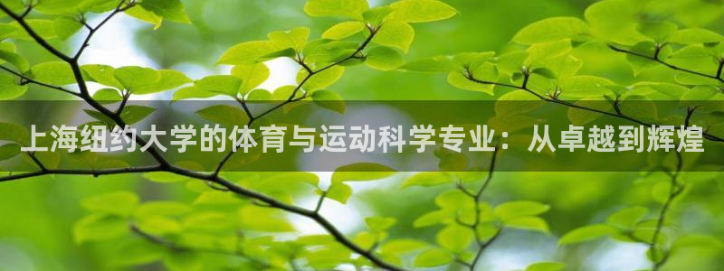 必一体育官网入口：上