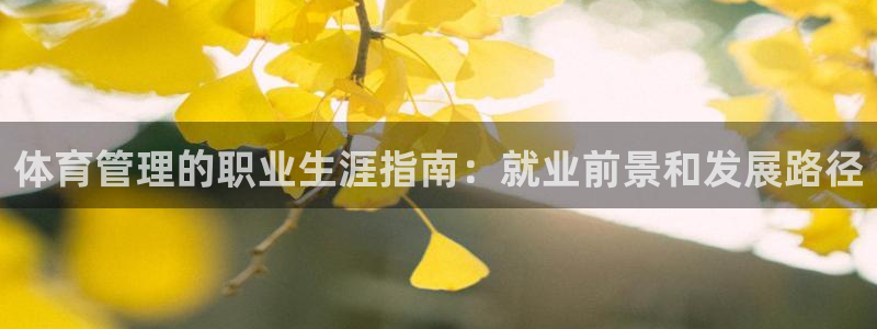 必一体育运动平台官网