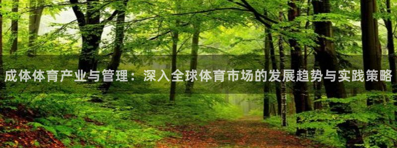 必一体育登录APP下