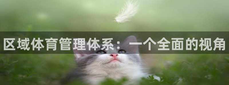 必一体育最新官网入口