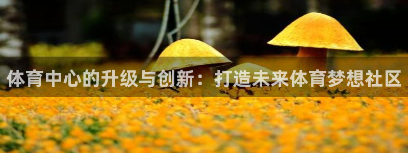 必一体育官网app：体育中心的升级与创新：打造未来体育梦想社