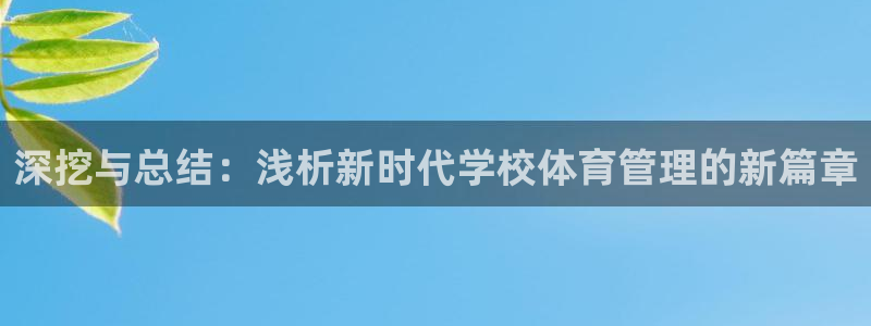 必一体育网页登录版官