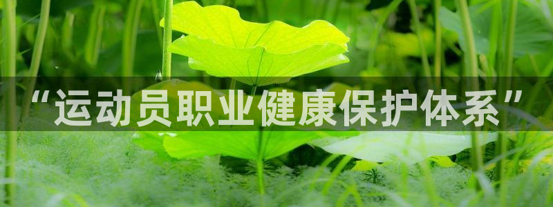 必一体育官网app：